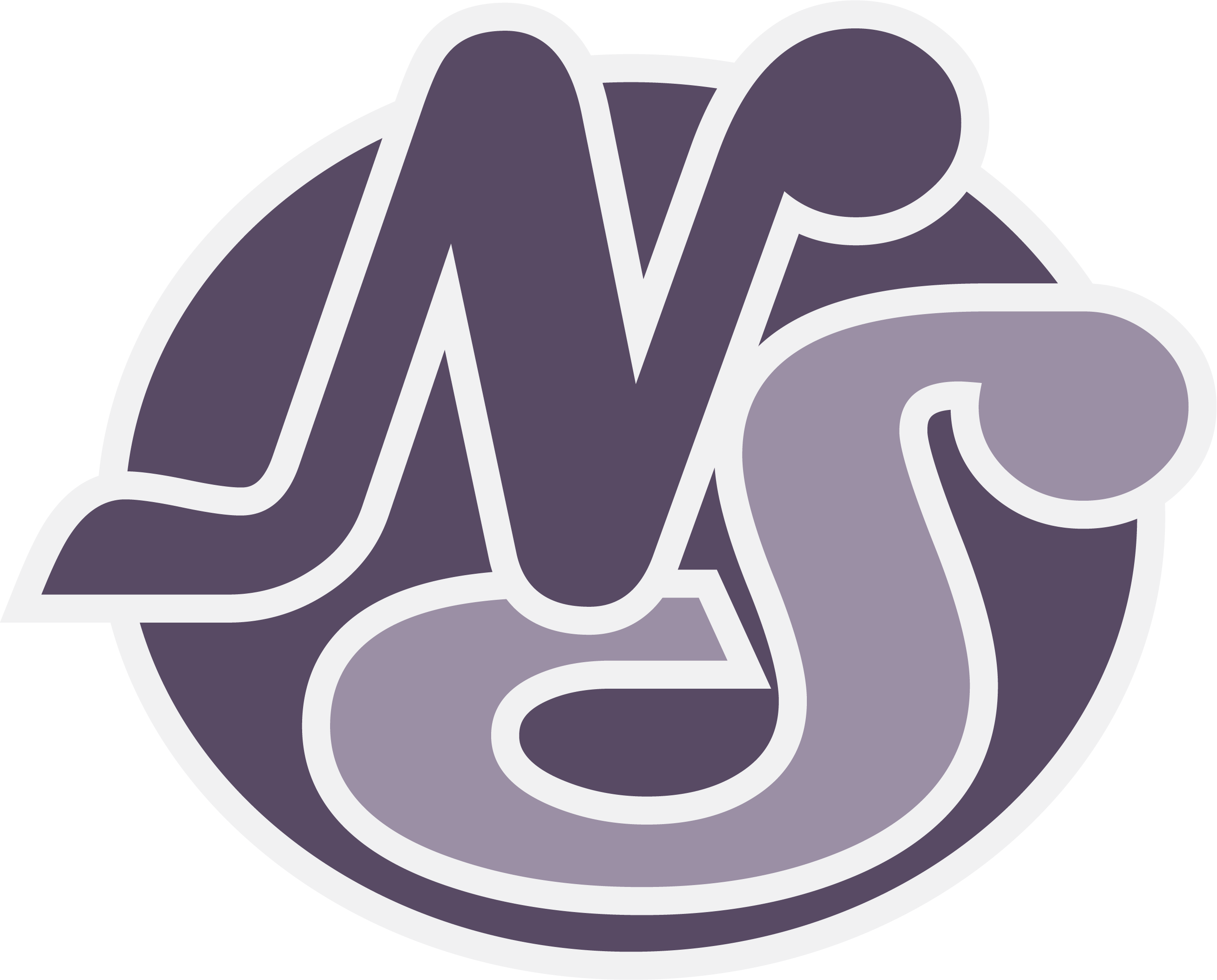 NaturaeSoft Logo